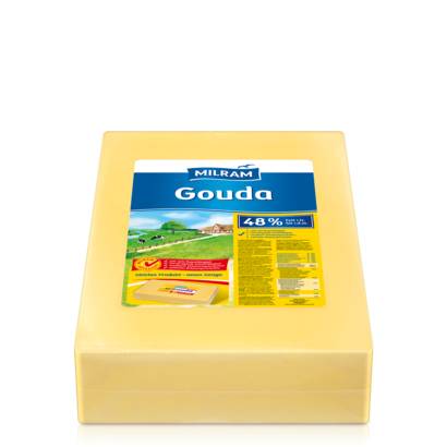 Gouda Käse 48%